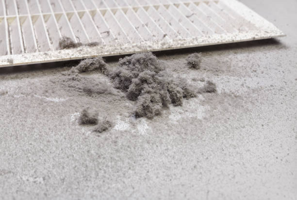 Best Professional Duct Cleaning Services  in Shaw, MS