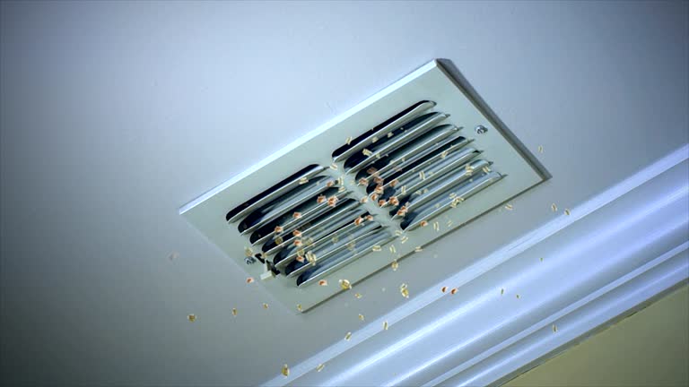 Best Best Air Duct Cleaning Company  in Shaw, MS