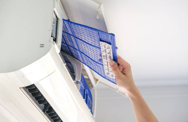 Best Home Air Vent Cleaning  in Shaw, MS