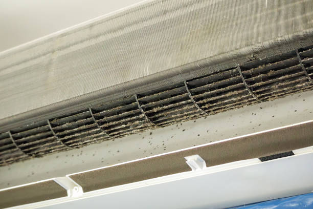 Best HVAC Air Duct Cleaning  in Shaw, MS